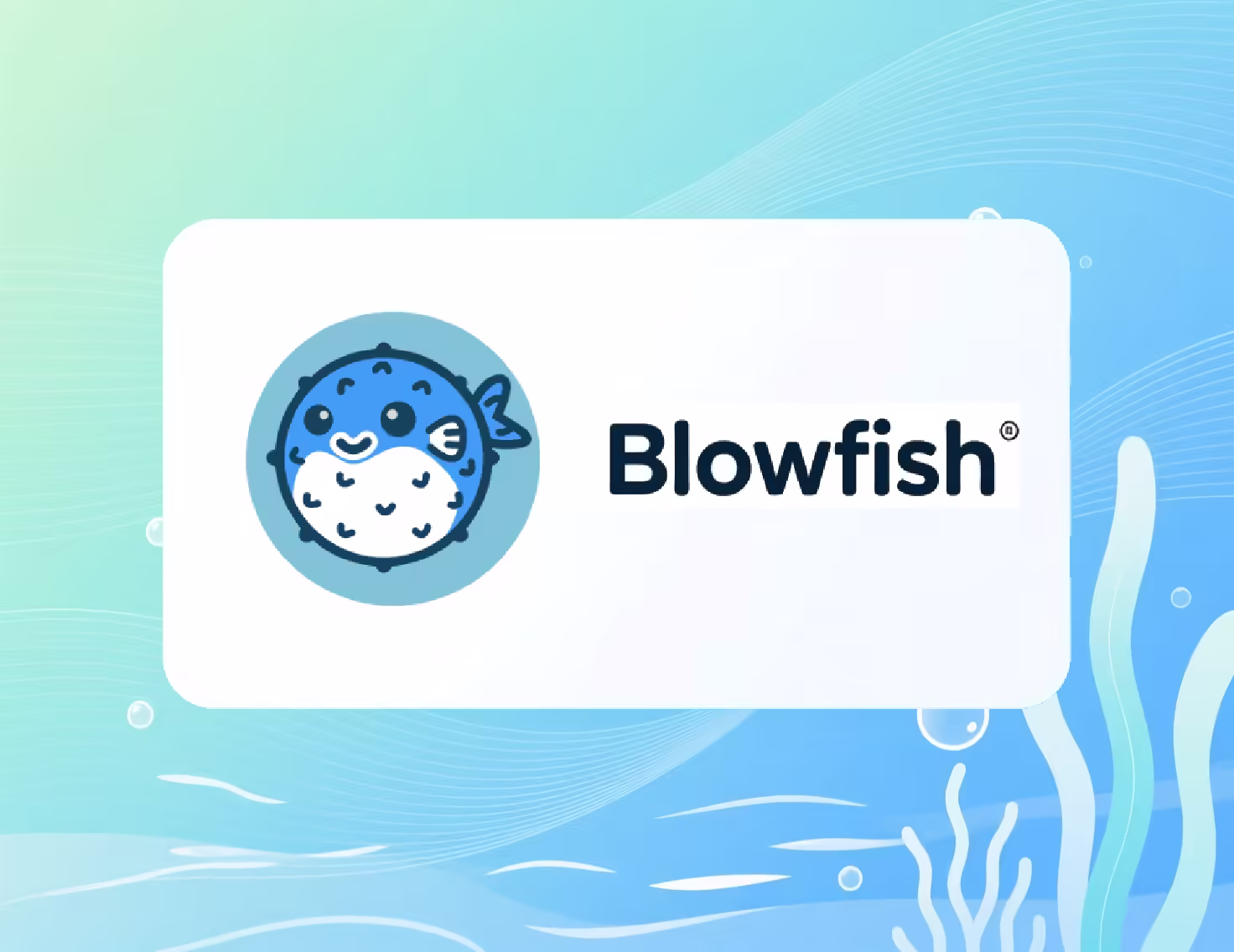 Blowfish 文档外自定义指南